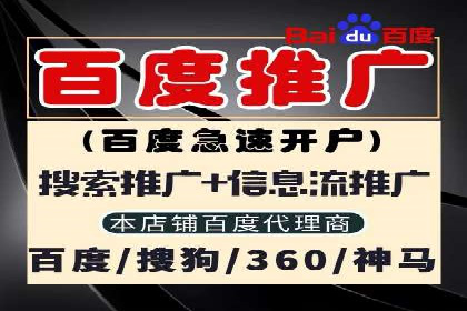 成功企业的SEM竞价优化经验与启示